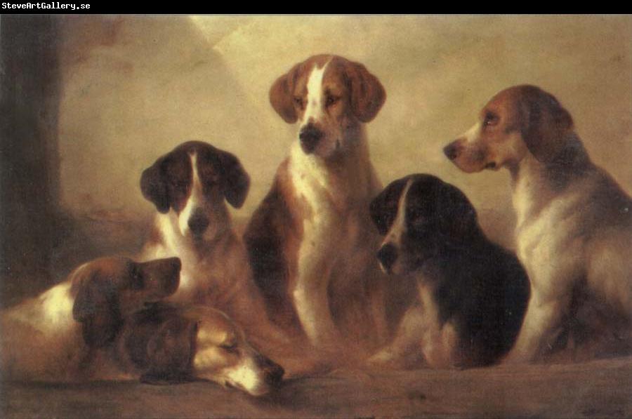 Edward Robert Smythe Hounds